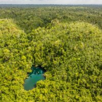 Papiliorama hilft bei der Rettung von 1’000 Quadratkilometern Tropenwald