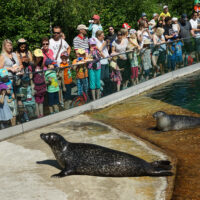Record de visiteurs au Parc animalier de Berne
